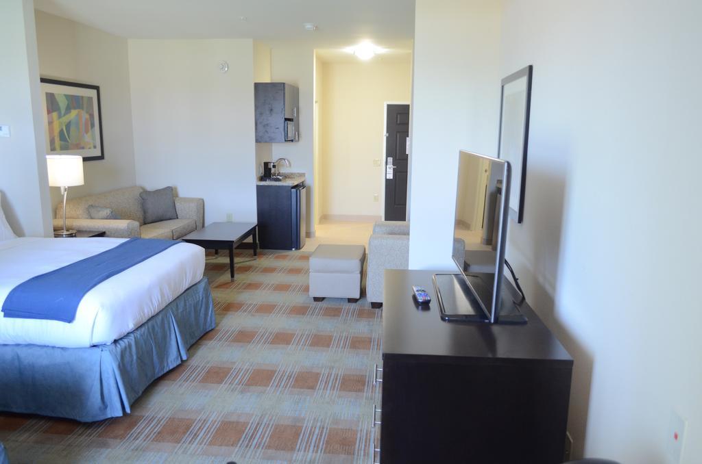 Holiday Inn Express & Suites Houston Northwest-Brookhollow By Ihg Værelse billede